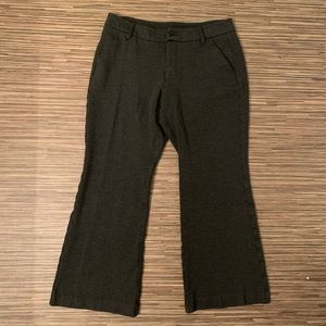 CAbi Womens Size 6 Charcoal Promotion Trouser Pant
